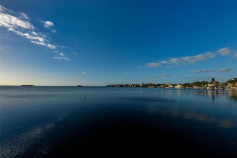 Land in Palm Harbor, Florida № 1593513 - photo 16