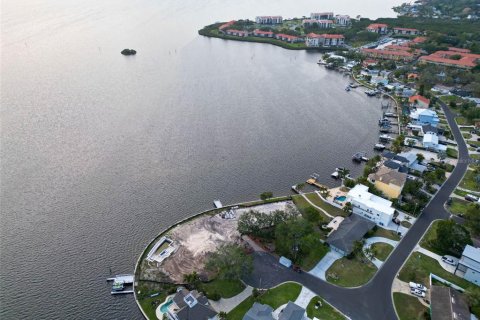 Land in Palm Harbor, Florida № 1593513 - photo 2