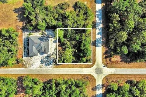 Land in Lehigh Acres, Florida № 2164307 - photo 16
