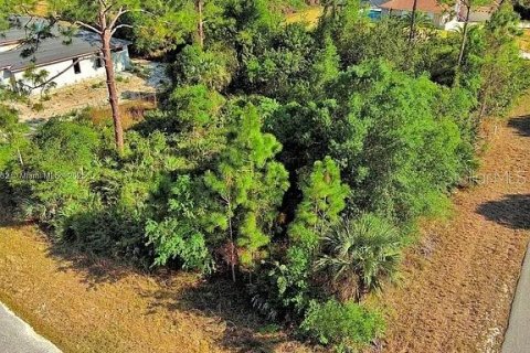 Land in Lehigh Acres, Florida № 2164307 - photo 4