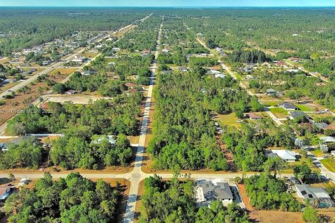 Land in Lehigh Acres, Florida № 2164307 - photo 14