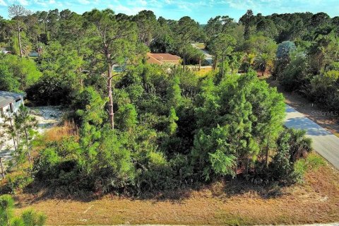 Land in Lehigh Acres, Florida № 2164307