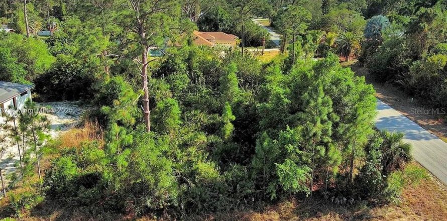 Land in Lehigh Acres, Florida № 2164307