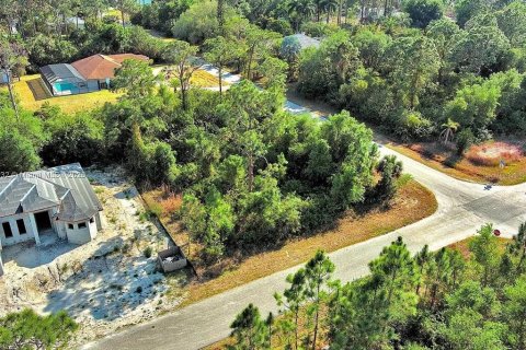 Land in Lehigh Acres, Florida № 2164307 - photo 8