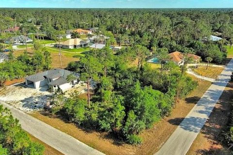 Land in Lehigh Acres, Florida № 2164307 - photo 6