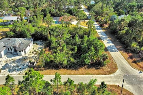Land in Lehigh Acres, Florida № 2164307 - photo 7