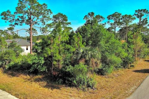 Land in Lehigh Acres, Florida № 2164307 - photo 5