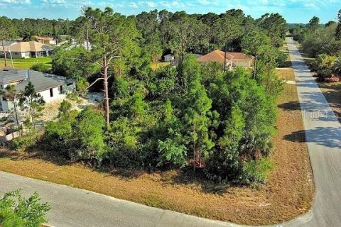 Land in Lehigh Acres, Florida № 2164307 - photo 2
