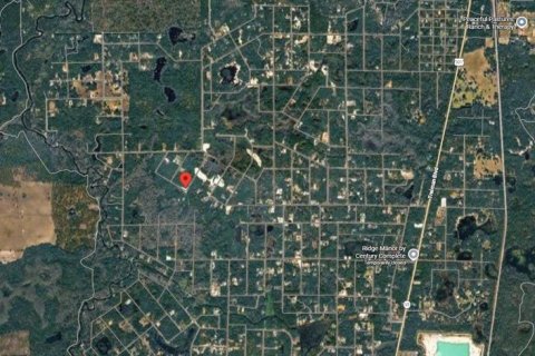Land in Webster, Florida № 2165836 - photo 4