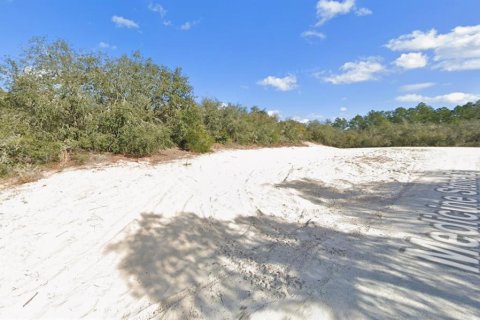 Land in Webster, Florida № 2165836 - photo 6