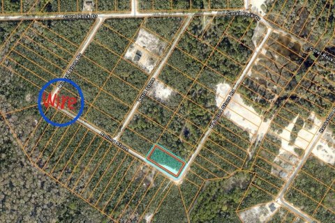 Land in Webster, Florida № 2165836