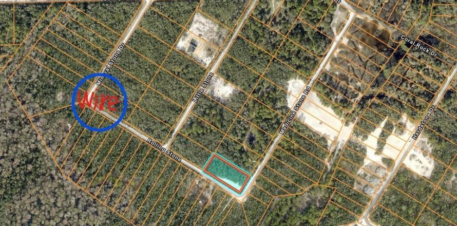 Land in Webster, Florida № 2165836