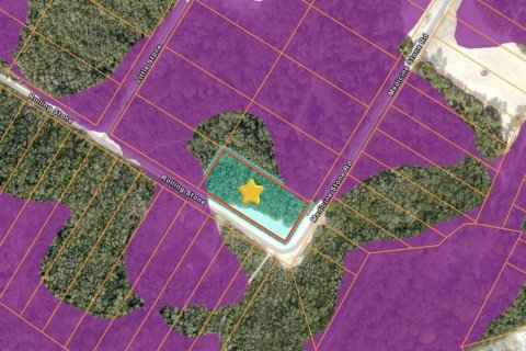 Land in Webster, Florida № 2165836 - photo 3