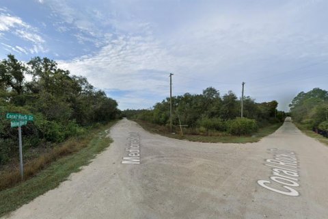 Land in Webster, Florida № 2165836 - photo 5