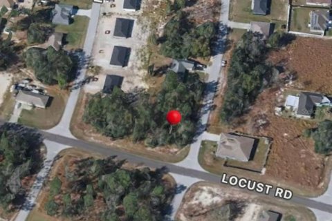 Land in Ocala, Florida № 2231033