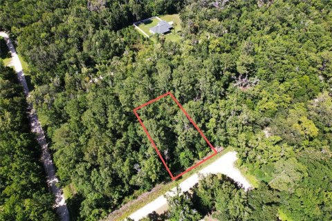 Land in Ocala, Florida № 2163977 - photo 2