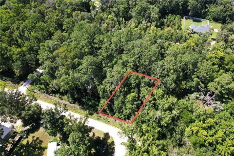 Land in Ocala, Florida № 2163977