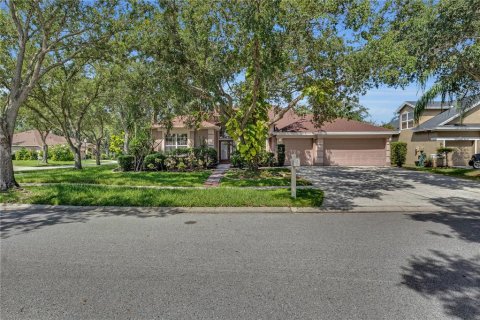 House in Tampa, Florida 4 bedrooms, 279.73 sq.m. № 1878103 - photo 1