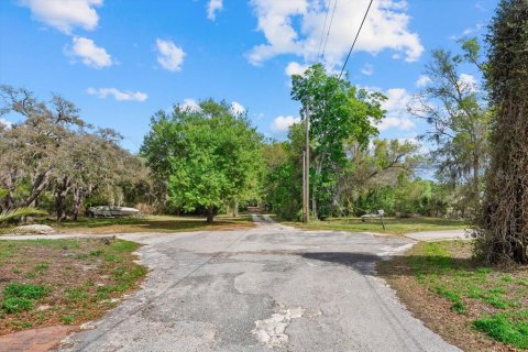 Land in New Port Richey, Florida № 2166129 - photo 3