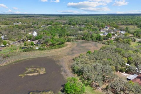 Land in New Port Richey, Florida № 2166129 - photo 19
