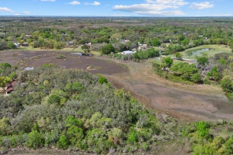 Land in New Port Richey, Florida № 2166129 - photo 21