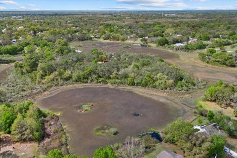 Land in New Port Richey, Florida № 2166129 - photo 10