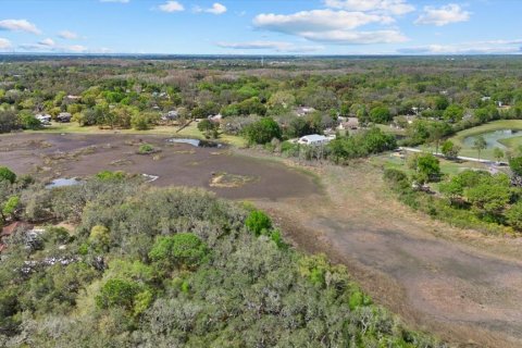 Land in New Port Richey, Florida № 2166129 - photo 20