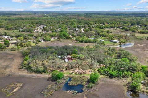 Land in New Port Richey, Florida № 2166129 - photo 13