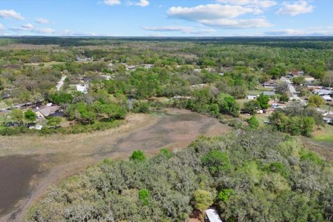 Land in New Port Richey, Florida № 2166129 - photo 8