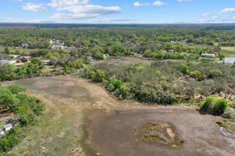Land in New Port Richey, Florida № 2166129 - photo 18