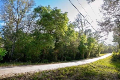 Terrain à vendre à Pomona Park, Floride № 2159366 - photo 4
