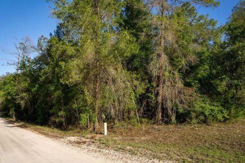 Terrain à vendre à Pomona Park, Floride № 2159366 - photo 5