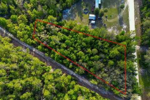 Land in Pomona Park, Florida № 2159366