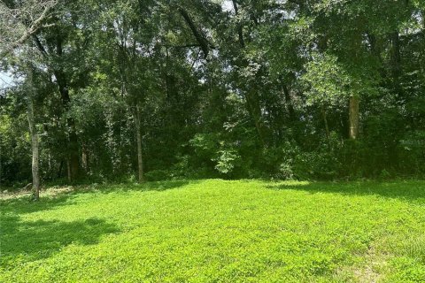 Casa en venta en Belleview, Florida, 3 dormitorios, 86.58 m2 № 1301590 - foto 5