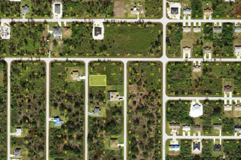 Land in Port Charlotte, Florida № 2164865 - photo 2