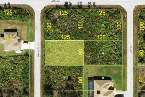 Land in Port Charlotte, Florida № 2164865