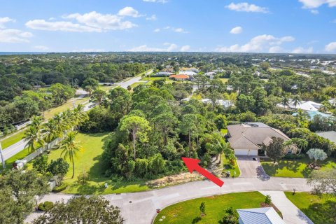 Land in Hobe Sound, Florida № 1026597 - photo 1