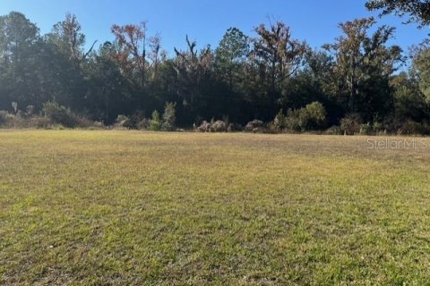 Terreno en Dunnellon, Florida № 2091961
