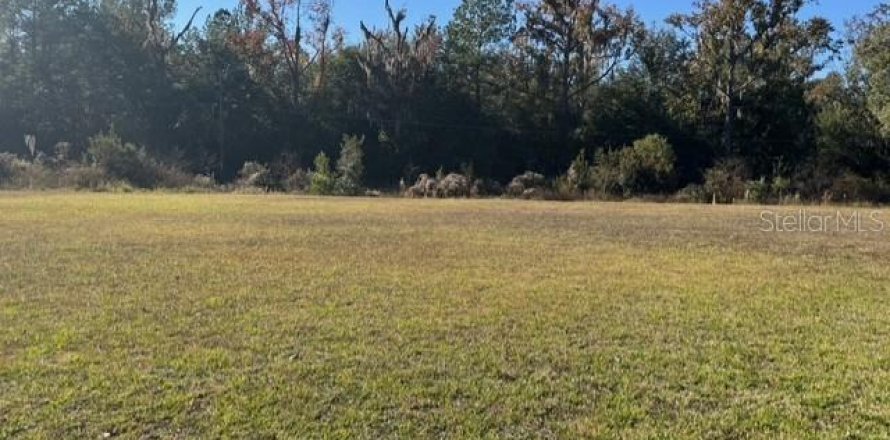 Terreno en Dunnellon, Florida № 2091961