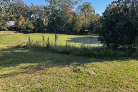 Terreno en venta en Dunnellon, Florida № 2091961 - foto 11