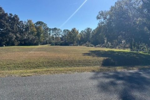 Terreno en venta en Dunnellon, Florida № 2091961 - foto 3
