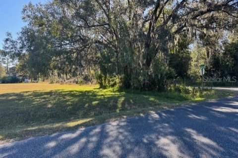 Terreno en venta en Dunnellon, Florida № 2091961 - foto 4