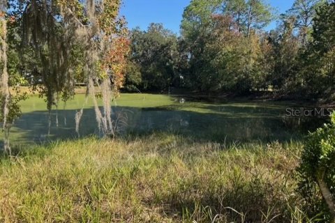 Terreno en venta en Dunnellon, Florida № 2091961 - foto 2