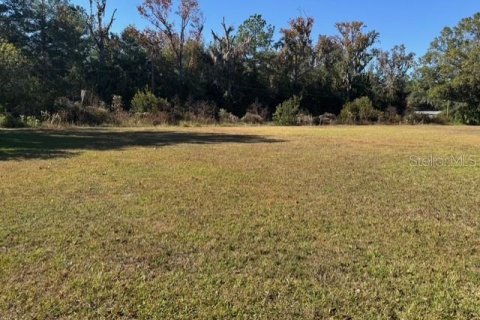 Terreno en venta en Dunnellon, Florida № 2091961 - foto 8