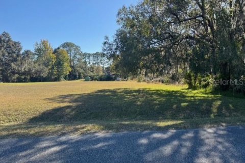 Terreno en venta en Dunnellon, Florida № 2091961 - foto 5