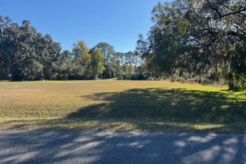 Terreno en venta en Dunnellon, Florida № 2091961 - foto 6