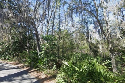 Terreno en venta en Fleming Island, Florida № 2109634 - foto 5