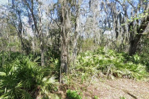 Terreno en venta en Fleming Island, Florida № 2109634 - foto 6