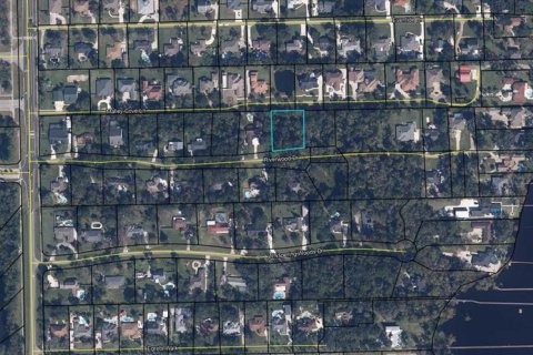 Terreno en venta en Fleming Island, Florida № 2109634 - foto 9