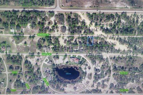 Land in Lake Placid, Florida № 2164352